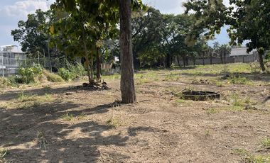 VENTA DE TERRENO EN ROSARIO SABINAL