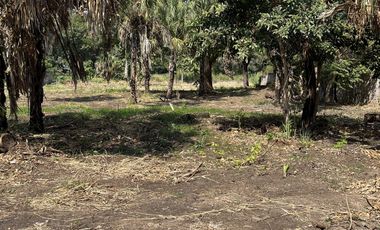 VENTA DE TERRENO EN ROSARIO SABINAL