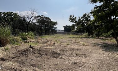 VENTA DE TERRENO EN ROSARIO SABINAL