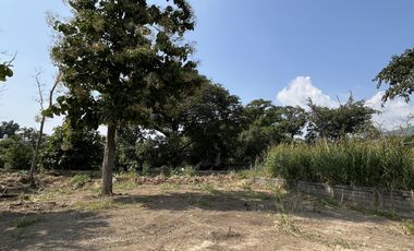 VENTA DE TERRENO EN ROSARIO SABINAL