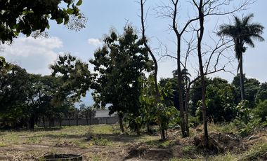 VENTA DE TERRENO EN ROSARIO SABINAL