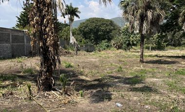 VENTA DE TERRENO EN ROSARIO SABINAL