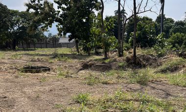 VENTA DE TERRENO EN ROSARIO SABINAL