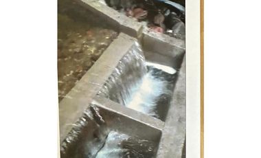 VENDO HACIENDA 257 Hectáreas en el Cantón Mejía, Sector Tambillo