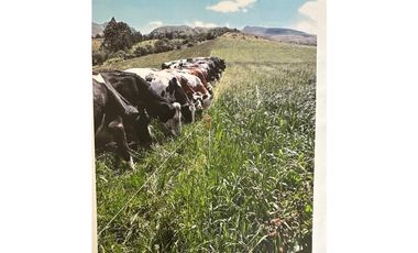 VENDO HACIENDA 257 Hectáreas en el Cantón Mejía, Sector Tambillo