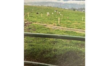 VENDO HACIENDA 257 Hectáreas en el Cantón Mejía, Sector Tambillo