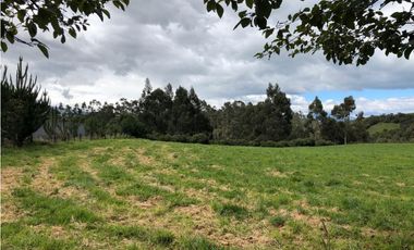 Hacienda sector Machachi 25 hectáreas, ubicación privilegiada.