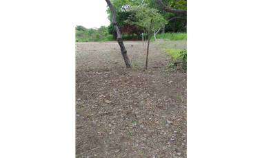 Se Vende Terreno en San Carlos Urbanización lagomar
