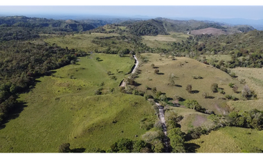 Se Vende Finca de 220 Hectareas en Volcán, Chiriquí  MLS# 22066