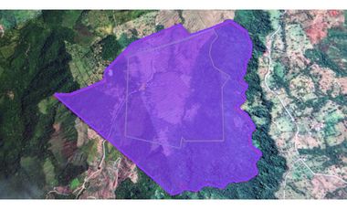 Se Vende Finca de 220 Hectareas en Volcán, Chiriquí  MLS# 22066
