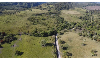 Se Vende Finca de 220 Hectareas en Volcán, Chiriquí  MLS# 22066