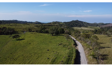 Se Vende Finca de 220 Hectareas en Volcán, Chiriquí  MLS# 22066