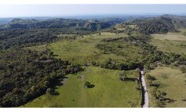Se Vende Finca de 220 Hectareas en Volcán, Chiriquí  MLS# 22066