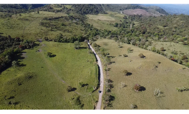 Se Vende Finca de 220 Hectareas en Volcán, Chiriquí  MLS# 22066
