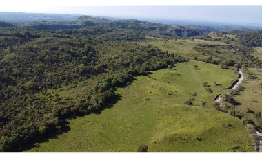 Se Vende Finca de 220 Hectareas en Volcán, Chiriquí  MLS# 22066