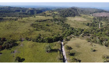 Se Vende Finca de 220 Hectareas en Volcán, Chiriquí  MLS# 22066