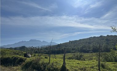 Se Vende Finca de 220 Hectareas en Volcán, Chiriquí  MLS# 22066