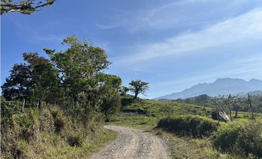 Se Vende Finca de 220 Hectareas en Volcán, Chiriquí  MLS# 22066