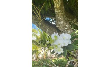 VENDO LOTE EN QUINTAS DE CORONADO, LISTO PARA CONSTRUIR 1800mts JP