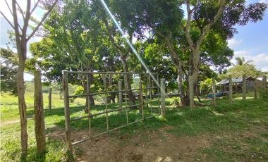 Se Vende Finca de 35 HAS en las Lajitas-Chorrera (DR)