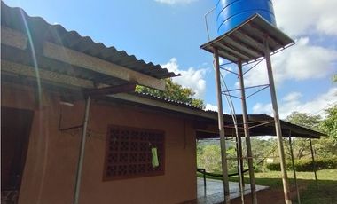 Se Vende Finca de 35 HAS en las Lajitas-Chorrera (DR)
