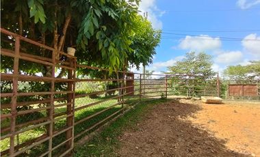 Se Vende Finca de 35 HAS en las Lajitas-Chorrera (DR)
