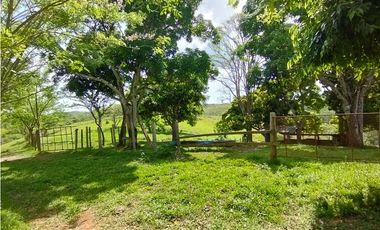 Se Vende Finca de 35 HAS en las Lajitas-Chorrera (DR)
