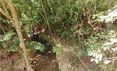 Se Vende Finca de 35 HAS en las Lajitas-Chorrera (DR)