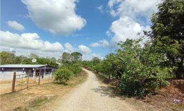 Se Vende Finca de 35 HAS en las Lajitas-Chorrera (DR)