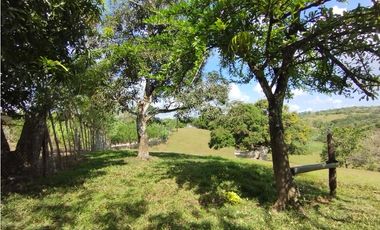 Se Vende Finca de 35 HAS en las Lajitas-Chorrera (DR)