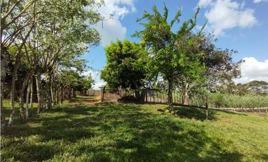 Se Vende Finca de 35 HAS en las Lajitas-Chorrera (DR)