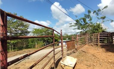 Se Vende Finca de 35 HAS en las Lajitas-Chorrera (DR)