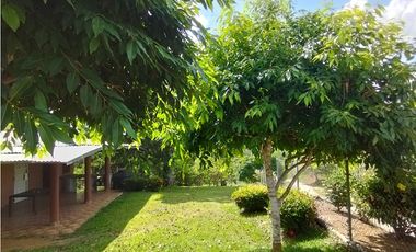 Se Vende Finca de 35 HAS en las Lajitas-Chorrera (DR)