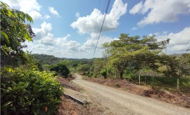 Se Vende Finca de 35 HAS en las Lajitas-Chorrera (DR)