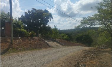 Se Vende Finca de 35 HAS en las Lajitas-Chorrera (DR)