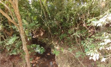 Se Vende Finca de 35 HAS en las Lajitas-Chorrera (DR)