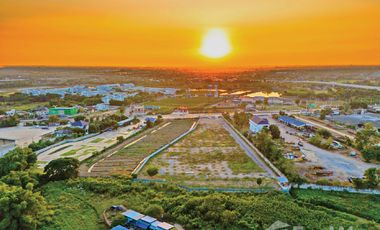 Land for sale in Wang Taku, Nakhon Pathom