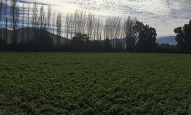 Parcela en venta en COLINA