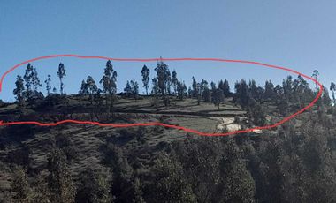 Parcela en venta en PUMANQUE