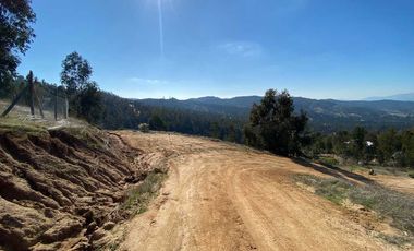 Parcela en venta en PUMANQUE