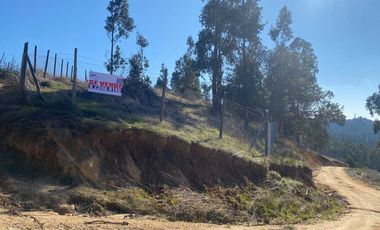 Parcela en venta en PUMANQUE