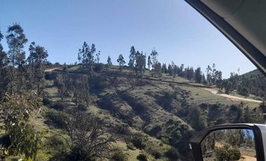 Parcela en venta en PUMANQUE