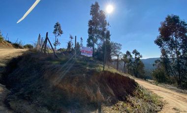 Parcela en venta en PUMANQUE