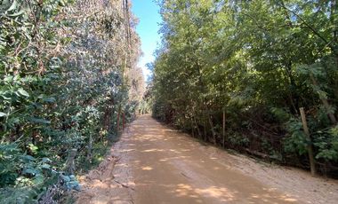 Parcela en venta en PUMANQUE