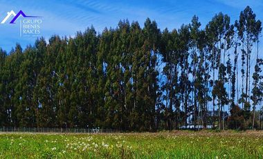 Parcela en venta en FRUTILLAR