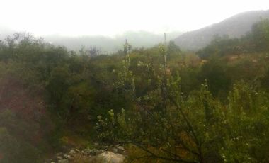 Casa en venta en CURACAVÍ