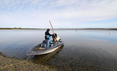 Parcela en venta en QUELLÓN