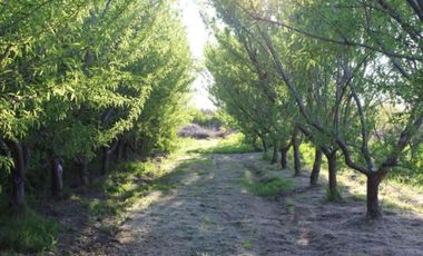 Parcela en venta en MELIPILLA