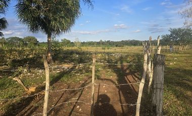 ¡Excelente Rancho en venta! Tizimin, Yucatán.