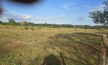 ¡Excelente Rancho en venta! Tizimin, Yucatán.